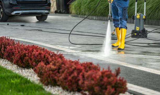 Best Exterior Home Cleaning  in Chlicothe, IL
